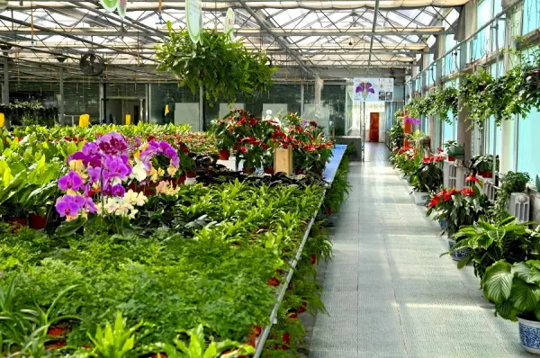Air Source Heat Pumps: The Trend and First Choice for Greenhouse Farming and Heating